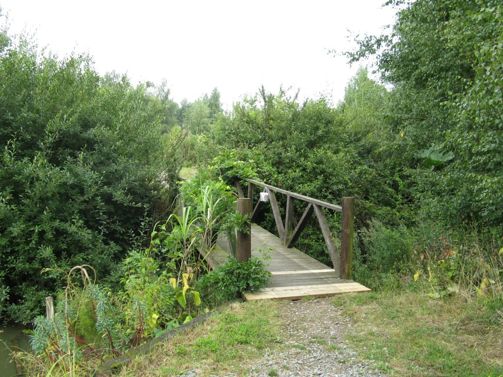 Glebe Little Bridge
